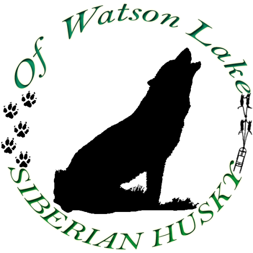 Of Watson Lake – La boutique